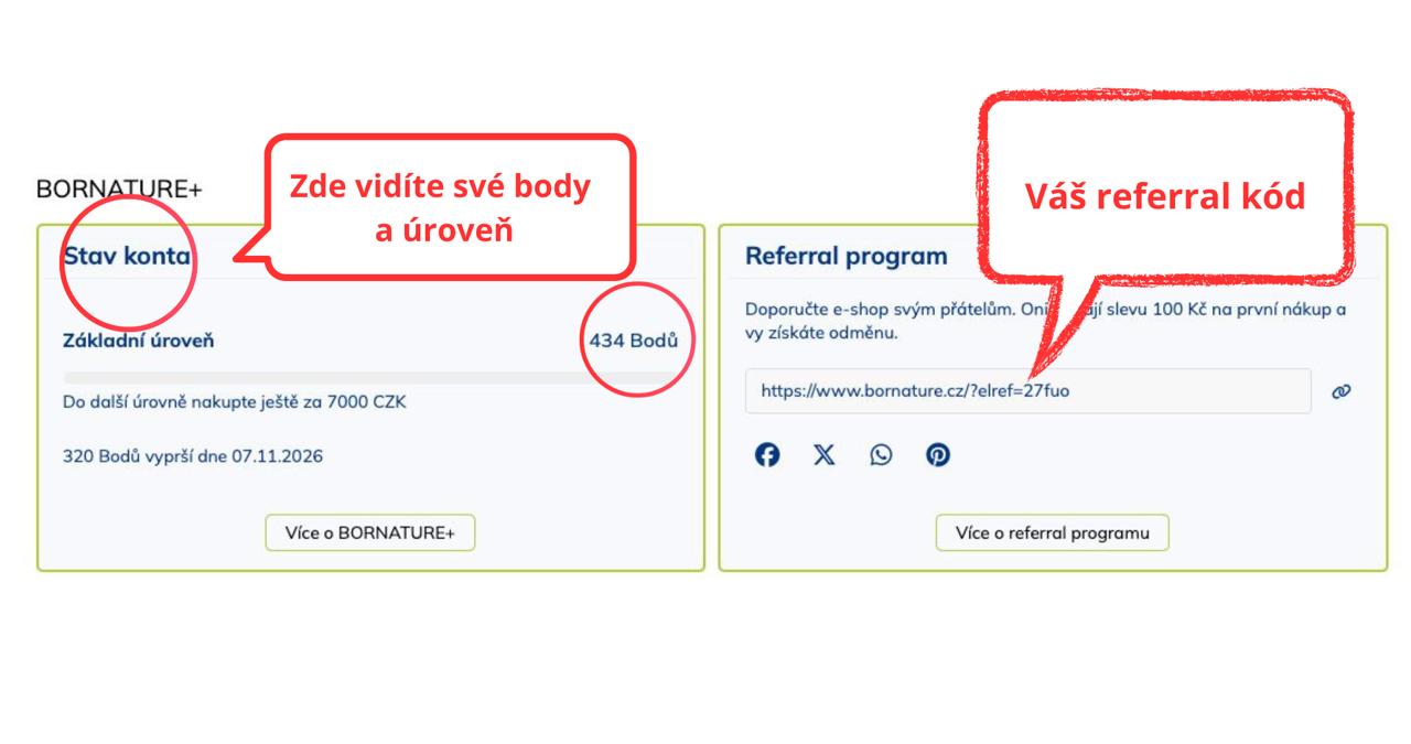 WhatsApp Image 2026-02-11 at 14.45.15 (1)